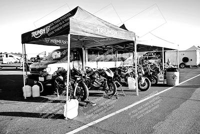 media/Mar-25-2024-Moto Forza (Mon) [[8d4319bd68]]/1-Around the Pits/